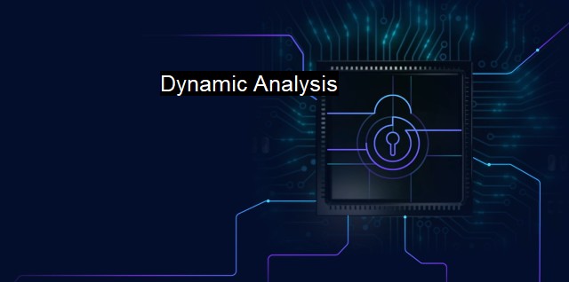Dynamic Analysis